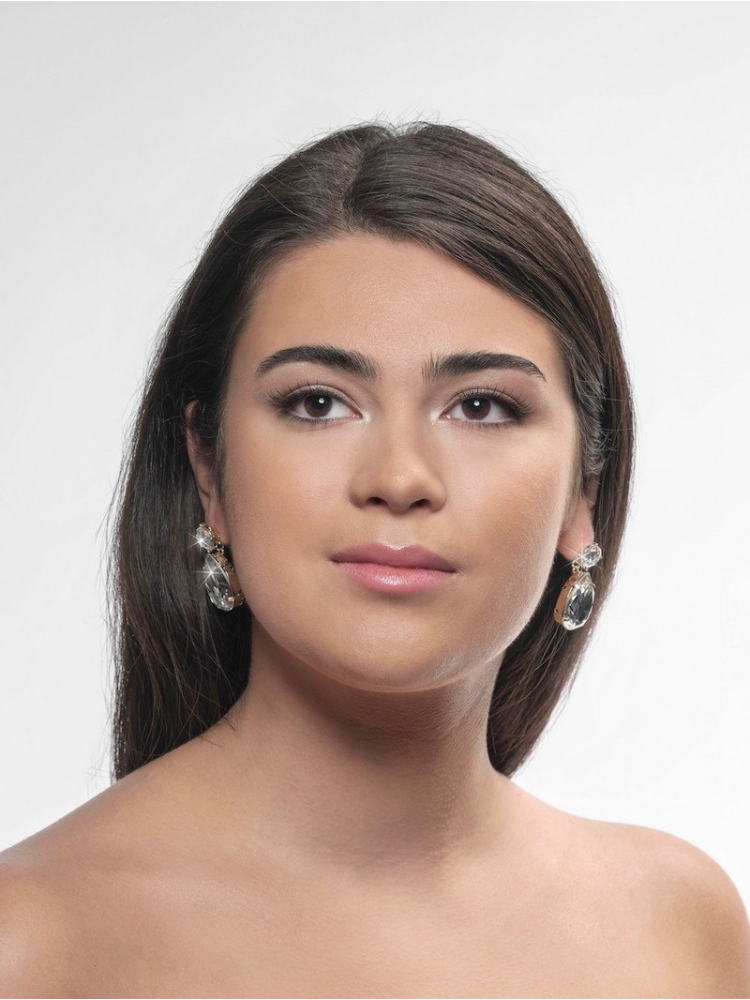 Poirier NC-1339 Boucles d'Oreilles Or main product photo