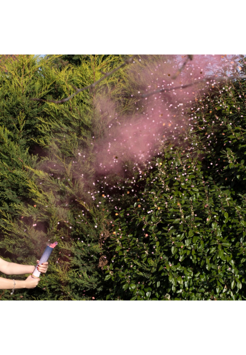 Ginger Ray GR-132 Gender Reveal Canon à poudre Rose ()