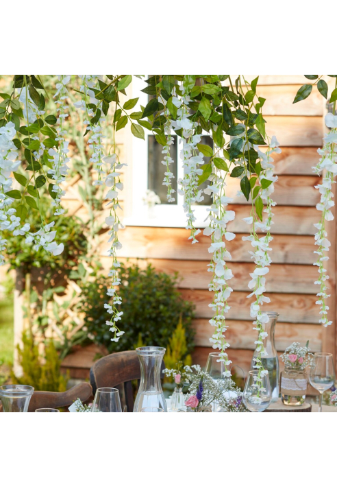 Ginger Ray CW-264 Rustic Country Glycine Blanche ()